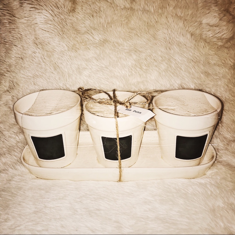 Rare Rae Dunn Chalk Flower Planter Pot Set (NWT)